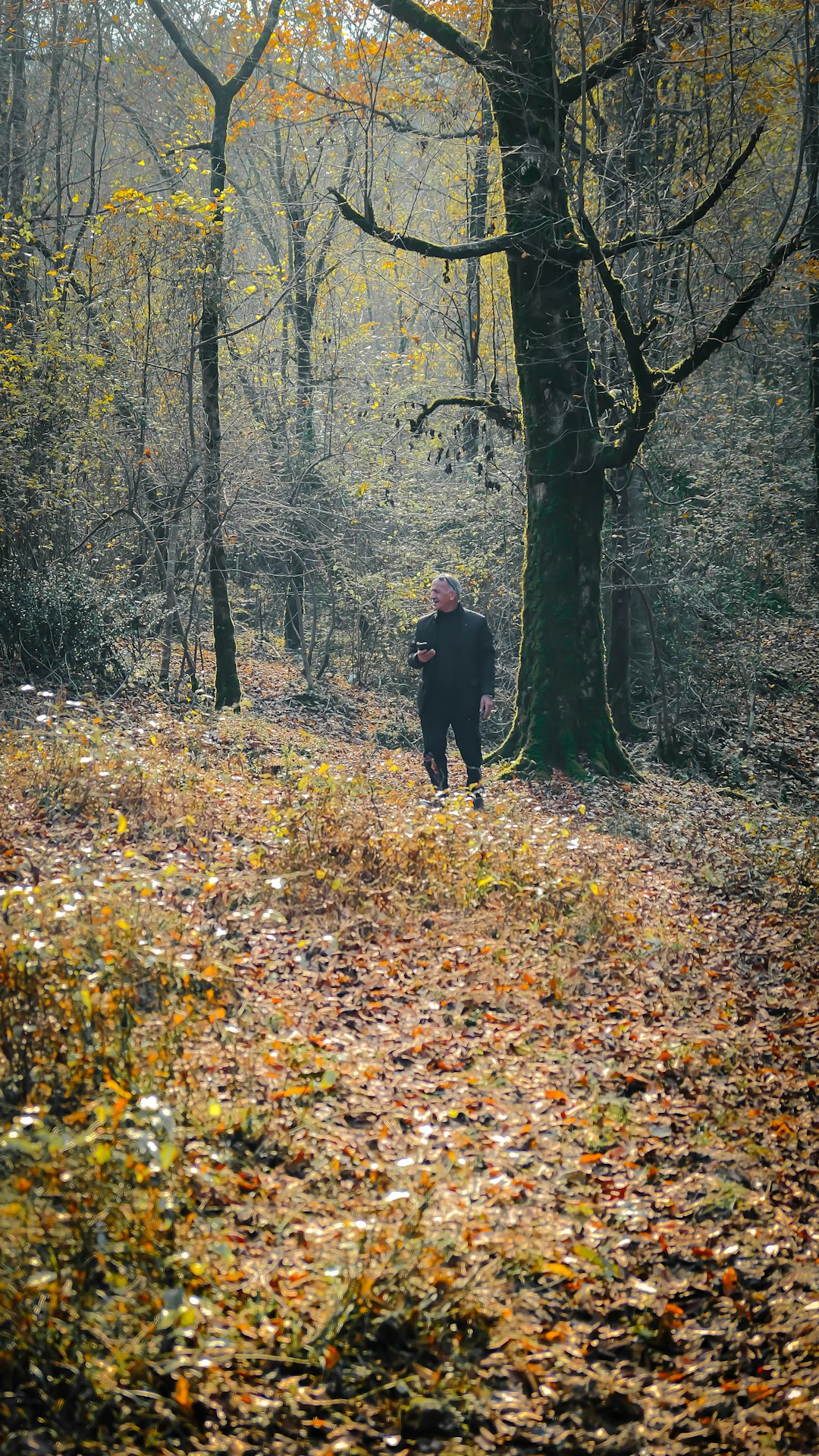 Mentalidad de crecimiento